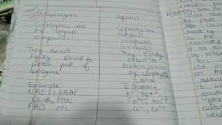 Difference between coenzymes and cofactors  Very important [upl. by Aidnac]