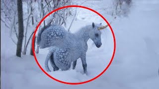 5 Unicorns Caught On Camera ♦️ Real Life Unicorns [upl. by Braun]