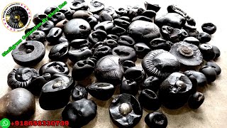 Shaligram  types of shaligram stone [upl. by Leaw336]