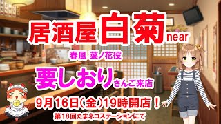 たまネコステーション第１８回放送！「居酒屋白菊near」春風 菜ノ花役「要しおり」さんご来店回！ [upl. by Koehler]