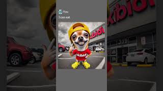 Chihuahua helps homeless ai funny shorts [upl. by Dixie]