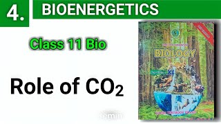 Role Of CO2  Bioenergetics  class 11 bio chapter 4  Deep Academy [upl. by Eerol917]