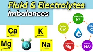 Understanding Fluid and Electrolyte Imbalances pathophysiology  A Comprehensive Guide  Tutor [upl. by Rustin]