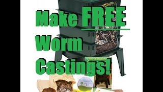 How To Set up a Cheap Worm Bin For Less Than 10 [upl. by Londoner]