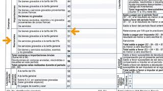 Formulario 300 Declaracion de IVA [upl. by Lihas]