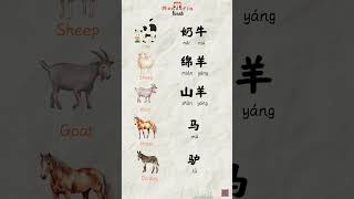 Learn Chinese Animal Names in Minutes 🐮🐴 mandarinchinese animalsname chineselanguage [upl. by Zehcnas423]