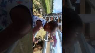 Armani’s daily vlog 🚜🧑‍🌾👨‍🌾 vlog windsor farming unfilteredtruth workingmomlife fyp [upl. by Colbye528]