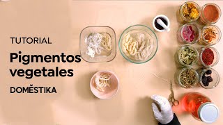 TUTORIAL Teñido Textil  Pigmentos Vegetales  Anabel Torres  Domestika [upl. by Ylliw]