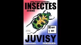 JUVISYSURORGE  LA BOURSE ENTOMOLOGIQUE NATIONALE DE RÉFÉRENCE [upl. by Sidhu843]