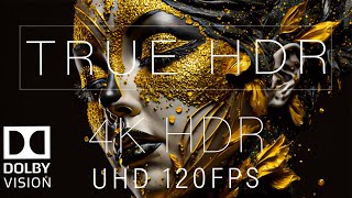 Wonderful 4K HDR 120FPS DOLBY VISION [upl. by Ellesor]