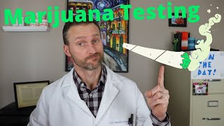 All about preemployment marijuana testing  A Doctors Advice [upl. by Richela]