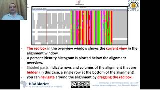 Lec3 Navigation amp Find Patterns in Jalview 2020 [upl. by Seligmann]