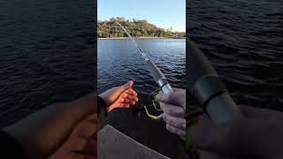 New PB 55cm Tailor on the CID Shiverstick 95 [upl. by Jareen640]