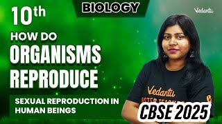 How Do Organisms Reproduce  Sexual Reproduction in Human Beings  Class 10  CBSE  Sandra Maam [upl. by Tnert]