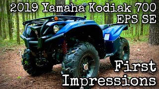 2019 Yamaha Kodiak 700 EPS SE First Impressions [upl. by Tychonn118]