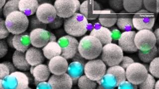 Size Exclusion Chromatography SEC [upl. by Blythe]