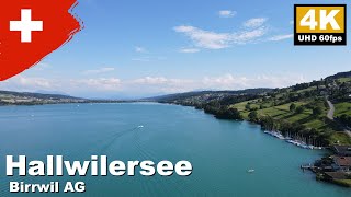 Hallwilersee Birrwil AG Switzerland  4K 60fps [upl. by Papp]