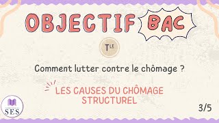 BAC Cours chômage  Les causes du chômage structurel [upl. by Etnuad476]