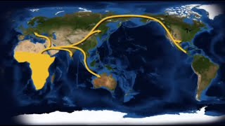 Human Migration  How Lice Can Shed Light on the Past  Science Nation [upl. by Ahseinat]