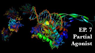 7 Partial Agonist  Molecular Pharmacology [upl. by Onaimad86]