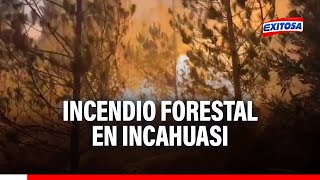 🔴🔵Lambayeque Incendio forestal en Incahuasi consume 250 mil plantones de pinos [upl. by June]