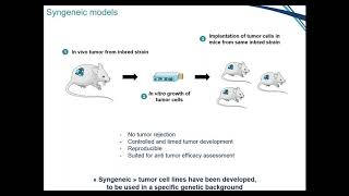 Optimize your syngeneic models with genetically engineered cell lines [upl. by Eylhsa]