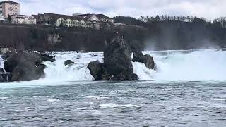 Rheinfall in Neuhausen rheinfall neuhausen swissswitzerland nordnorge love like likes nord [upl. by Lederer]