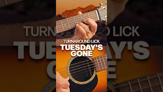 Master the Dsus2 Turnaround Riff from Tuesdays Gone  Lynyrd Skynyrd Guitar Lesson [upl. by Jew]