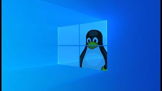 Windows Subsystem for Linux WSL2 Deep Dive [upl. by Halverson]