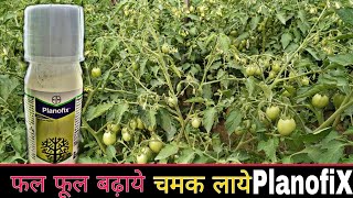 Planofix  टमाटर की फसल में planofix कब और क्यों इस्तेमाल करे  Bayer planofix PGR  Praveen Thakur [upl. by Stoughton]