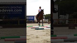 Exercice de barres au sol equitation cheval jumping [upl. by Kroll]