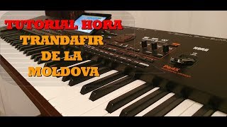 Trandafir de la moldova  Tutorial la orga HORA de JOC 15 TUTORIAL PE NOTE PENTRU INCEPATORI 2020 [upl. by Adnema]