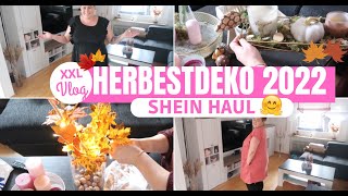 HERBSTDEKO 2022 amp HAUL 🍁🍂 SHEIN HAUL PLUS SIZE Dekorier mit mir Fräulein Jasmin [upl. by Sydney]