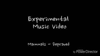 Depraved  Mammals legendado [upl. by Ennail]