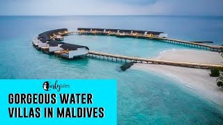 Gorgeous Water Villas At Westin Maldives  Miriandhoo Resort  Curly Tales [upl. by Fisa]