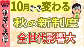 2024年10月から 知らないと手取りで15万円損する超重要新制度 手取が減るその理由と対象者とは？あなたは大丈夫？【健康保険料・厚生年金保険料・介護保険料負担大幅増・主婦年金廃止・社会保険適用拡大】 [upl. by Sorilda]