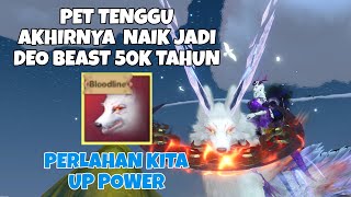 REVIEW PET TENGU 50000 TAHUN DEO BEAST  CHIMERALAND ANDROIDIOSPC [upl. by Ilowell100]