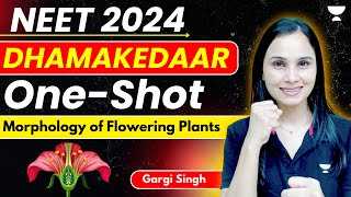 Morphology of Flowering Plants  Dhamakedaar One Shot  NEET 2024  Dr Gargi [upl. by Billmyre]