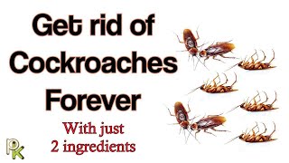 How to get rid of Cockroaches in your home with just 2 ingredients [upl. by Ahsekram300]