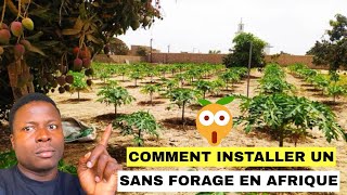 Comment installer un verger sans forage en Afrique [upl. by Julia883]