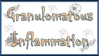 Granulomatous Inflammation  Definition Causes Pathenogenesis Diseases Types Morphology [upl. by Yedok]