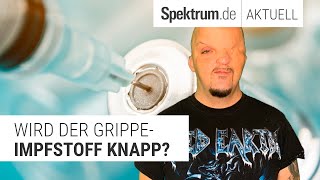 Wird der GrippeImpfstoff knapp [upl. by Arleen55]