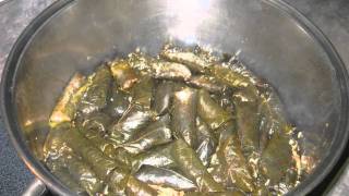 Moms Chaldean Dolma  Cooking Recipe  How to make The Best Stuffed Grape Leaves on Planet Earth [upl. by Kant502]