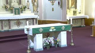 Mass 29th Sunday of Ordinary Time by Fr Henry Smolenaars [upl. by Atnaloj]