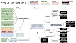 Sympathomimetic toxidrome mechanism of disease [upl. by Bresee]