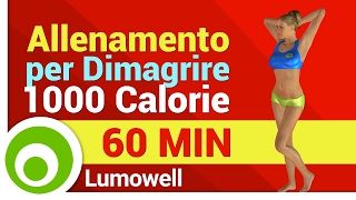 Allenamento Completo per Dimagrire e Tonificare il Corpo  Esercizi per Bruciare 1000 Calorie a Casa [upl. by Ahsienauq]