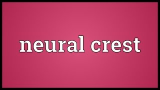 Neural crest Meaning [upl. by Curran135]