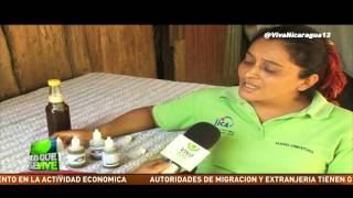 Miel de abejas meliponas una opción para la salud [upl. by Tnayrb]