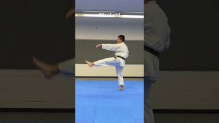 Nisei Shi Kata practice then amp now dojo martialarts japanmartialarts shooreikai Kata practice [upl. by Odnomra]