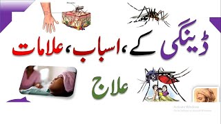 What Is Dengue Fever  Dengue Fever Urdu Presentation  Dengue Fever Causes And SymptomsDengue [upl. by Aguste]